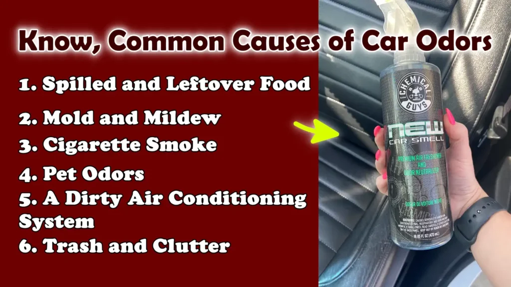 Know, Common Causes of Car Odors